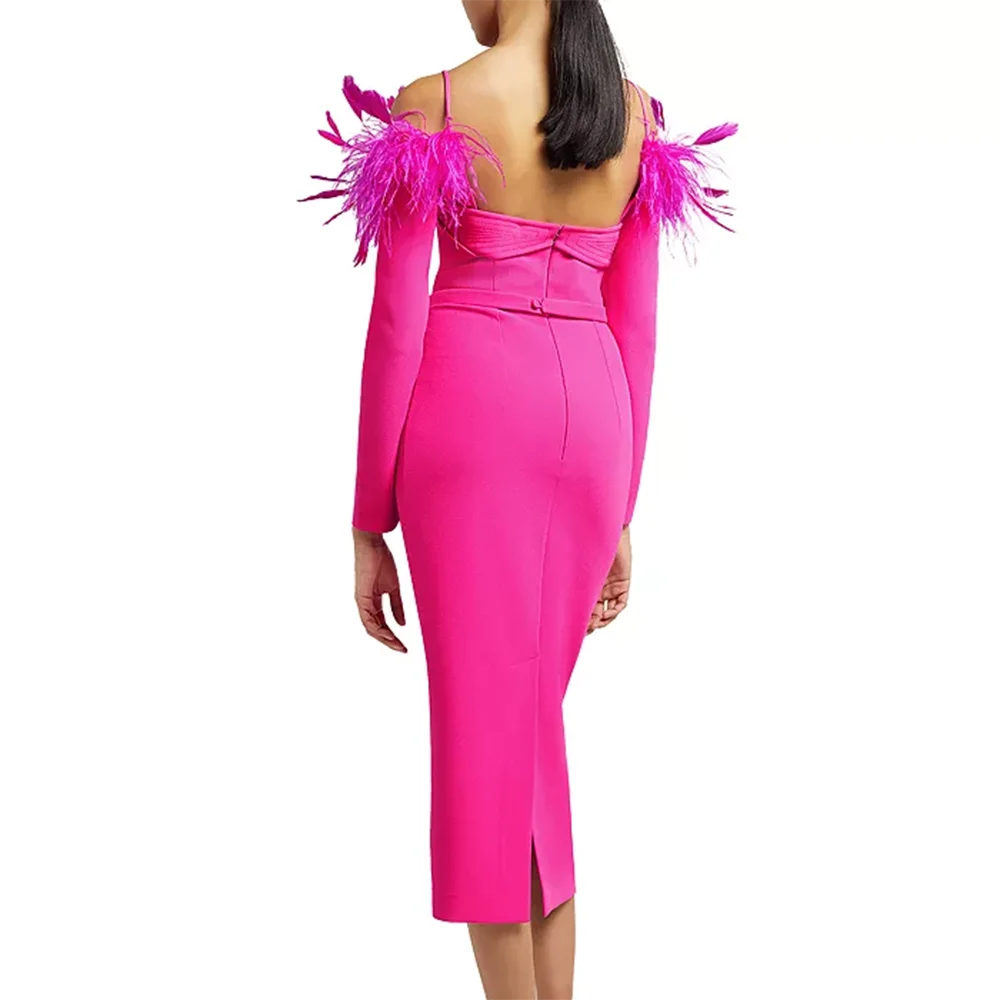 Feathers Long Sleeve Bodycon Midi Dresses